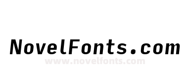 Input Sans Condensed Bold Italic