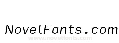 Input Sans Light Italic