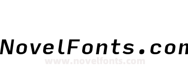 Input Sans Medium Italic