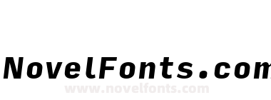Input Sans Narrow Black Italic