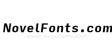 Input Sans Narrow Bold Italic