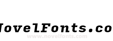 Input Serif Black Italic