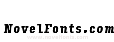 Input Serif Compressed Black Italic