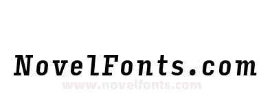 Input Serif Compressed Medium Italic