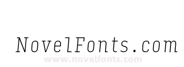 Input Serif Compressed Thin Italic