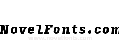 Input Serif Condensed Black Italic