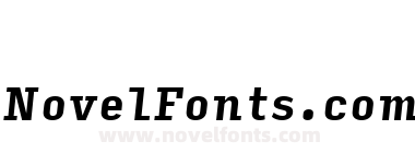 Input Serif Condensed Bold Italic