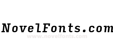 Input Serif Condensed Medium Italic