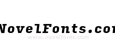 Input Serif Narrow Black Italic