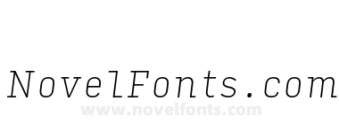 Input Serif Narrow Thin Italic