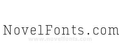 Input Serif Narrow Thin
