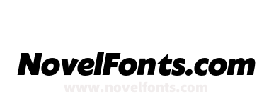 Klein Text Black Italic