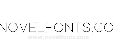 Loft Thin