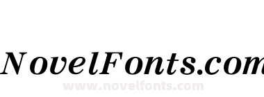 M Ma CenturyS Bold Italic