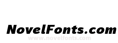 Magnum Sans W01 Black Italic