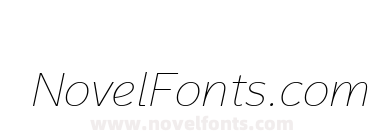 Magnum Sans W01 Thin Italic