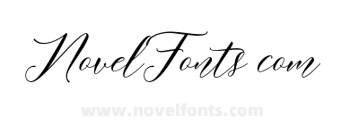 Meetha Script Demo