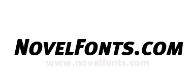 MetaBlackCyrLF-ItalicCaps