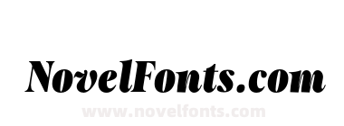 Moisette Black Italic