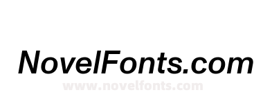 Monument Grotesk Medium Italic