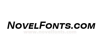 Neogrotesk SC Bold It
