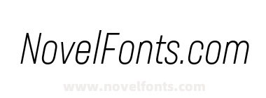 Neusa Next Std Compact Light Italic