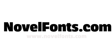 Neutronic Black