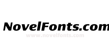 Newbery Sans Pro Xp Bold It