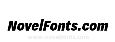 Nitti Grotesk Cond Black Italic