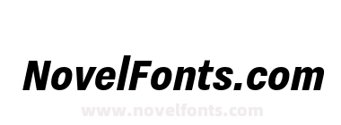 Nitti Grotesk Cond Extra Bold Italic