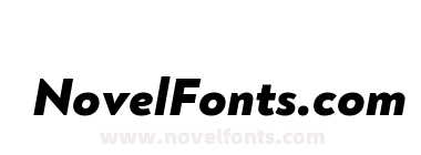 Noah Grotesque Trial Heavy Italic