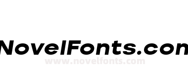 Nominee Black Extended Italic