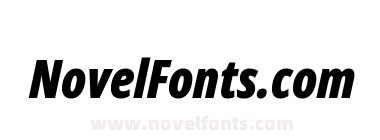 Noto Sans Display Extra Condensed Black Italic