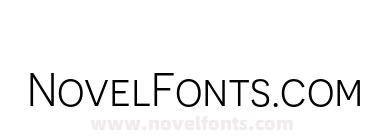 Novecento sans Book