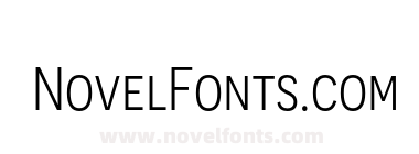 Novecento sans narrow Book