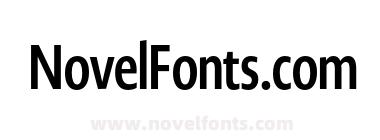 Novel Display X Cmp Bold