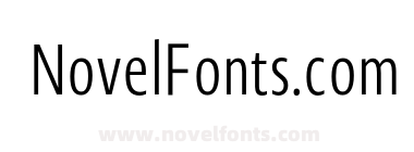 Novel Sans Cy X Cmp Light