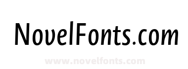 Novel Sans Gr Cmp Medium It
