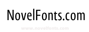 Novel Sans Gr X Cmp Regular