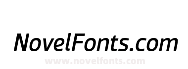 Nusara Medium Italic