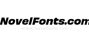 Obviously Bold Italic