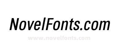 Octagen Roman Roman Italic