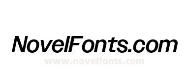 Owners Medium Italic