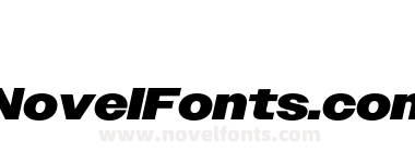 Owners Wide Black Italic