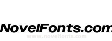 Owners Wide Bold Italic