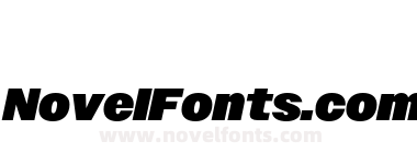 Owners X Black Italic