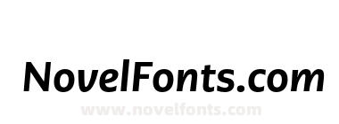 PMN Caecilia Sans Text Hv It