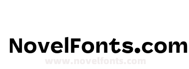 Panel Sans Black
