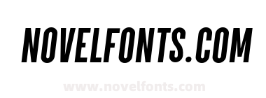 Parkson Black Italic