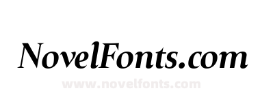 Plaisir Bold Italic